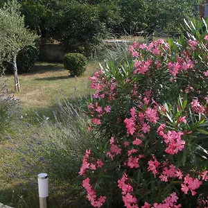 Adriana Appartamento